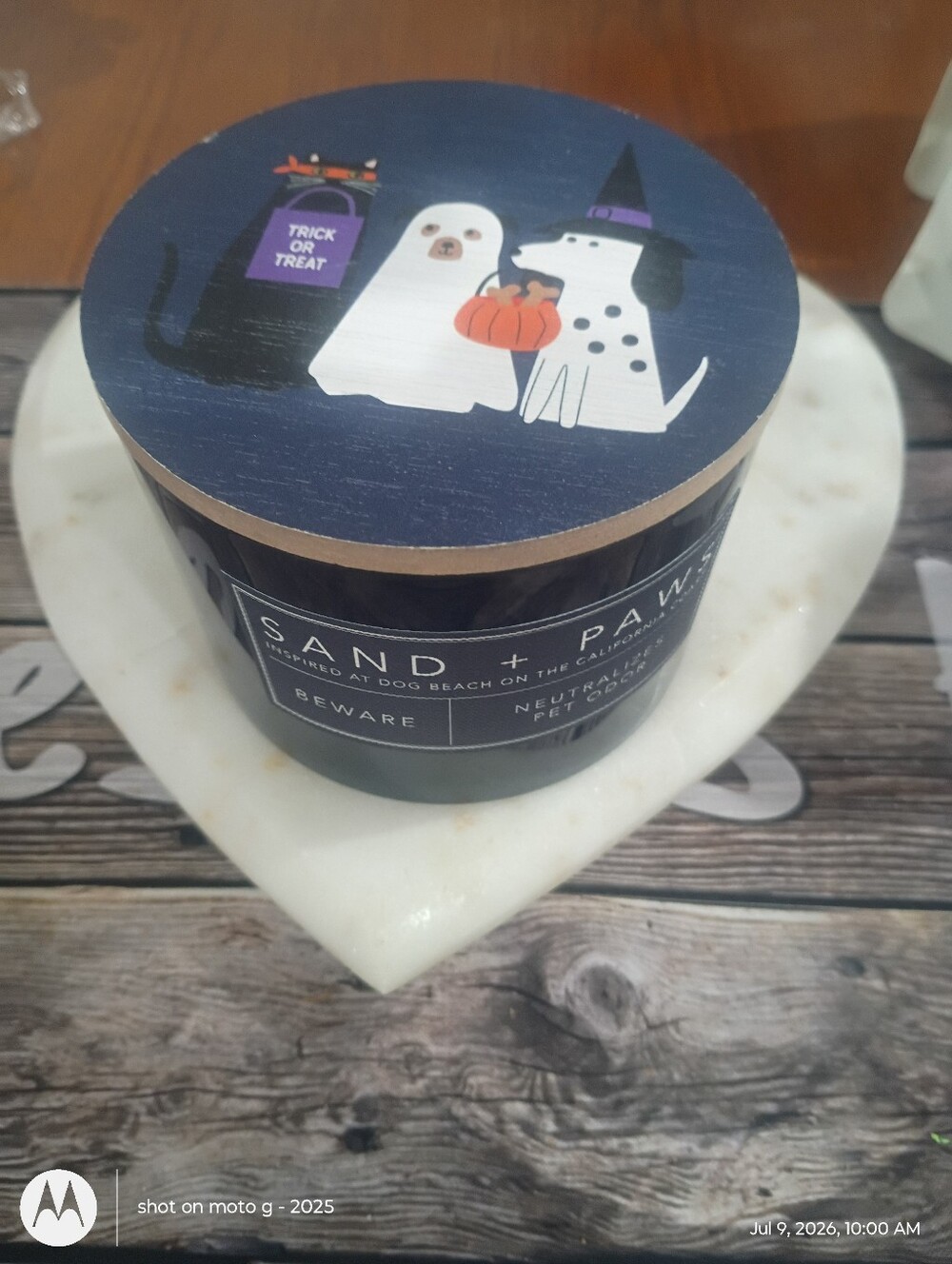 Sand + Paw Halloween Scented Candle - Navy with White & Orange Pets